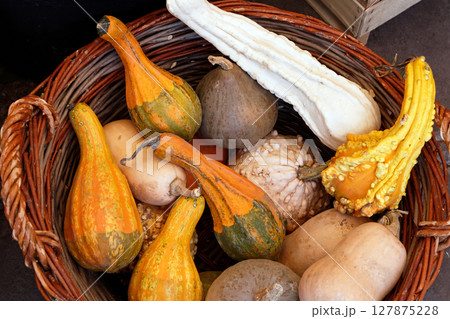 Small decorative pumpkins in rattan basket 127875228