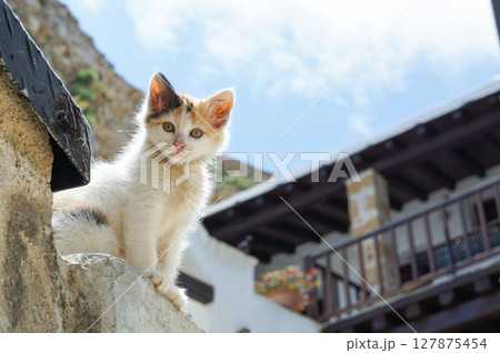 青空を背景に階段の上から見つめてくる猫 127875454