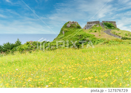 「青森県」初夏の花咲く葦毛崎の風景・種差海岸 127876729