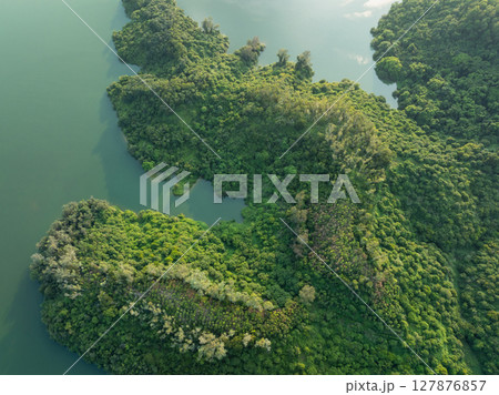 Aerial view of landscape of forest at the lakeside 127876857
