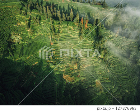 Aerial view of beautiful tea terrace landscape in China Aerial view of beautiful tea terrace landscape in China 127876965
