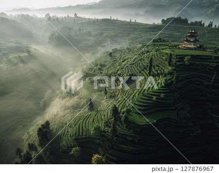 Aerial view of beautiful tea terrace landscape in China Aerial view of beautiful tea terrace landscape in China 127876967