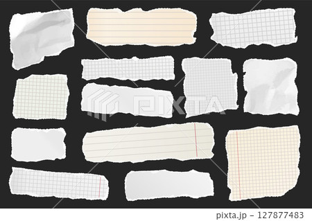 Ripped paper strips. Realistic crumpled paper scraps with torn edges. Shreds of notebook, book or old newspaper pages. Trendy collage elements. Vector illustration 127877483