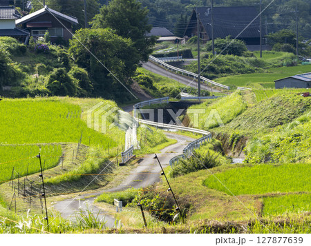 新緑の苗が育つ棚田の風景 127877639