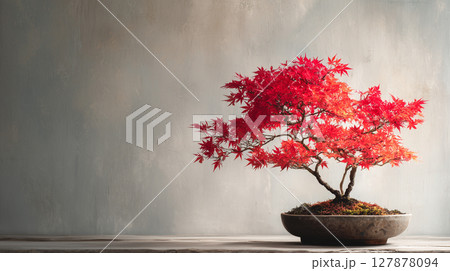 真っ赤に色づくモミジの盆栽 真っ赤に色づくモミジの盆栽 127878094