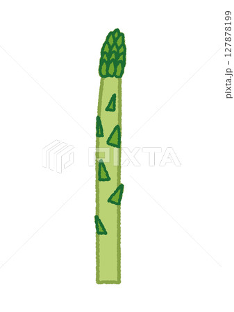 アスパラのイラスト アスパラのイラスト 127878199