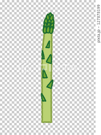 アスパラのイラスト アスパラのイラスト 127878199