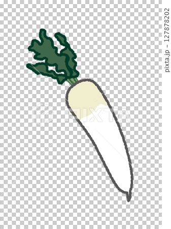 日本蘿蔔的插圖 127878202