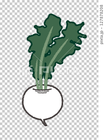 蘿蔔的插圖 127878208