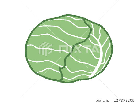 キャベツのイラスト キャベツのイラスト 127878209