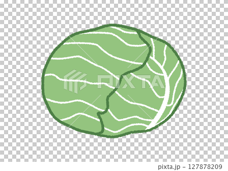 キャベツのイラスト キャベツのイラスト 127878209
