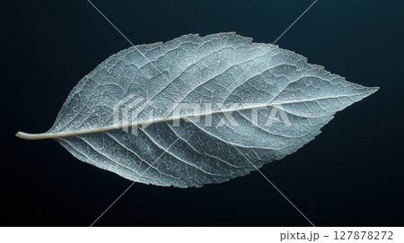single leaf dances gently in wind, displaying subtle airflow lines create elegant waves, highlighting nature's remarkable ability optimize aerodynamics 127878272