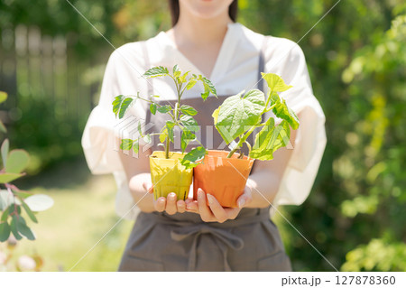 野菜の苗を持つ女性 野菜の苗を持つ女性 127878360