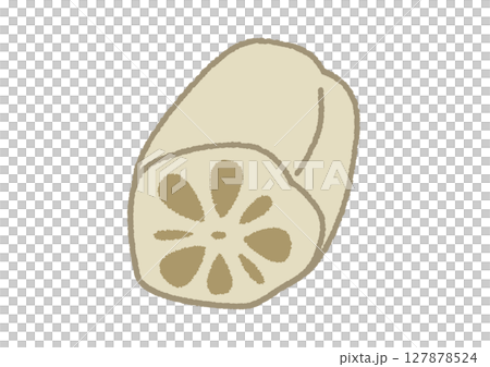 れんこんのイラスト 127878524