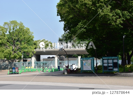 台東区 上野公園の新緑と上野動物園 台東区 上野公園の新緑と上野動物園 127878644