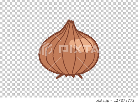 玉ねぎのイラスト 127878772