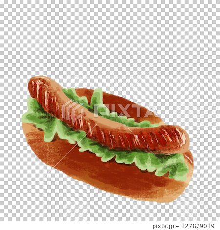 水彩で描いたホットドッグ 水彩で描いたホットドッグ 127879019