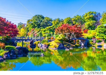 大仙公園 日本庭園の紅葉 大仙公園 日本庭園の紅葉 127879135