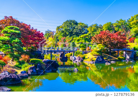 大仙公園 日本庭園の紅葉 127879136