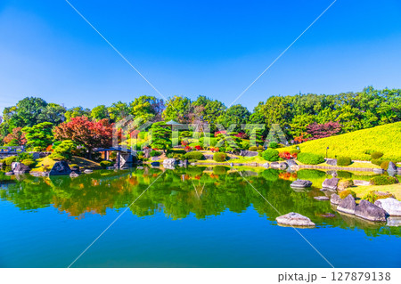 大仙公園 日本庭園の紅葉 大仙公園 日本庭園の紅葉 127879138