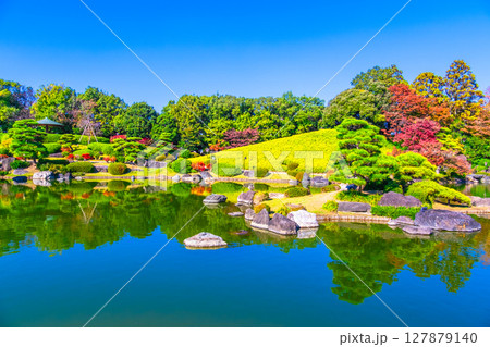 大仙公園 日本庭園の紅葉 大仙公園 日本庭園の紅葉 127879140