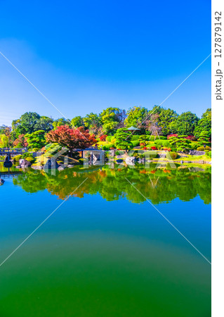 大仙公園 日本庭園の紅葉 大仙公園 日本庭園の紅葉 127879142