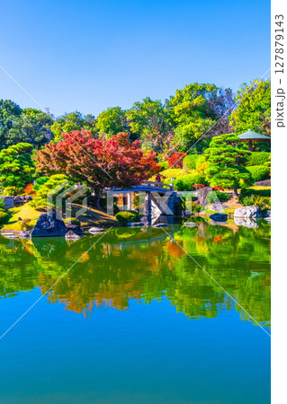 大仙公園 日本庭園の紅葉 大仙公園 日本庭園の紅葉 127879143