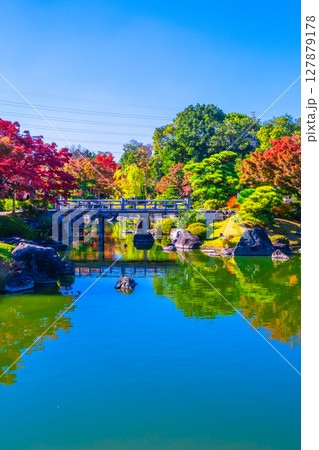 大仙公園 日本庭園の紅葉 大仙公園 日本庭園の紅葉 127879178