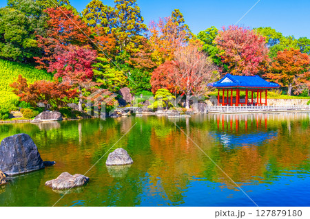大仙公園 日本庭園の紅葉 大仙公園 日本庭園の紅葉 127879180