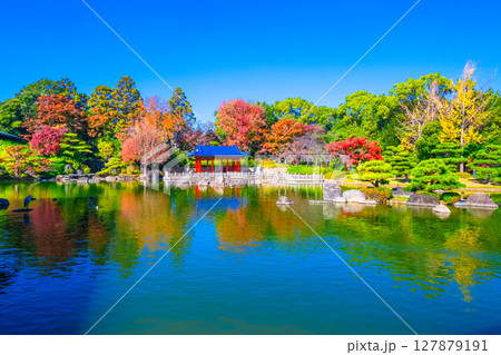 大仙公園 日本庭園の紅葉 127879191