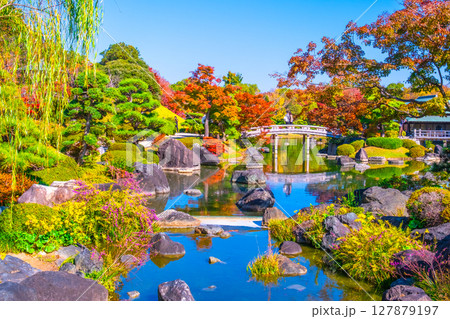 大仙公園 日本庭園の紅葉 大仙公園 日本庭園の紅葉 127879197