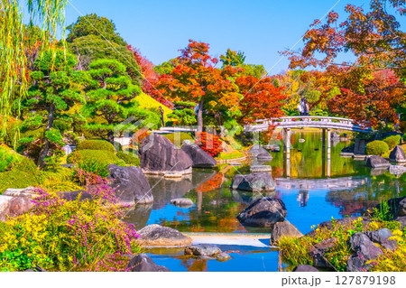 大仙公園 日本庭園の紅葉 127879198