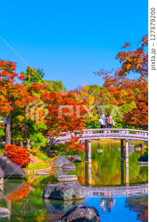 大仙公園 日本庭園の紅葉 127879200