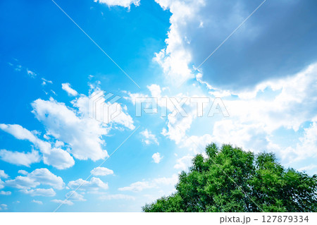 青空と雲と太陽と木立 127879334