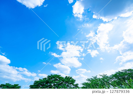 青空と雲と太陽と木立 青空と雲と太陽と木立 127879336