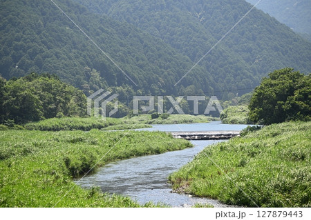 ニホンカワウソが最後に発見された川【新荘川】 ニホンカワウソが最後に発見された川【新荘川】 127879443