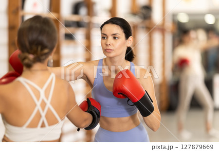 Young women in gym boxing training Young women in gym boxing training 127879669