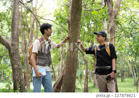 Father and Son Hiking Together. Enjoying nature while exploring a forest. 127879821