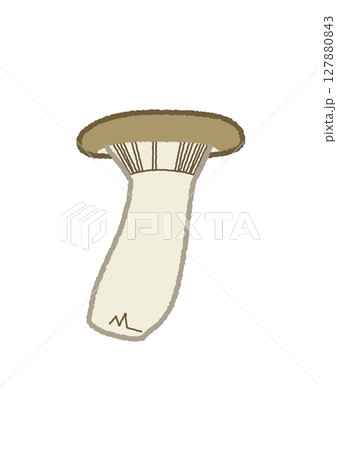 エリンギのイラスト 127880843