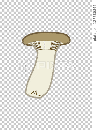 エリンギのイラスト 127880843