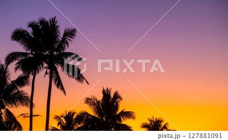 トロピカルなヤシ並木の夕暮れ風景 127881091