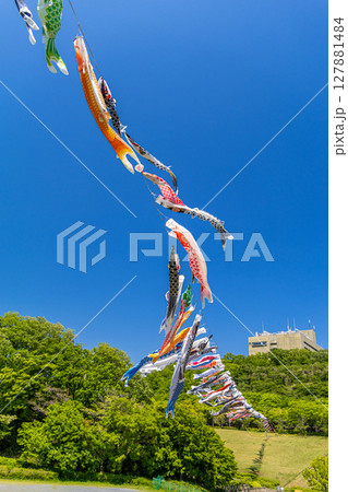 《若宮公園》青空に泳ぐ鯉のぼり(神奈川県厚木市) 《若宮公園》青空に泳ぐ鯉のぼり(神奈川県厚木市) 127881484