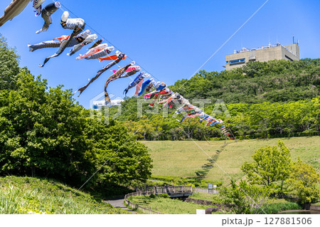 《若宮公園》青空に泳ぐ鯉のぼり（神奈川県厚木市） 127881506