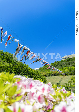 《若宮公園》青空に泳ぐ鯉のぼりとつつじ(神奈川県厚木市) 《若宮公園》青空に泳ぐ鯉のぼりとつつじ(神奈川県厚木市) 127881509