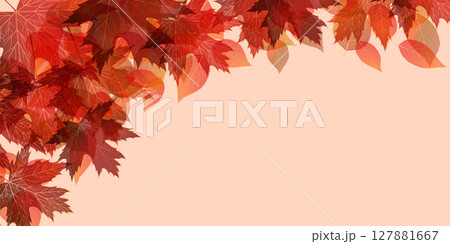 紅葉 もみじ 秋 背景 紅葉 もみじ 秋 背景 127881667