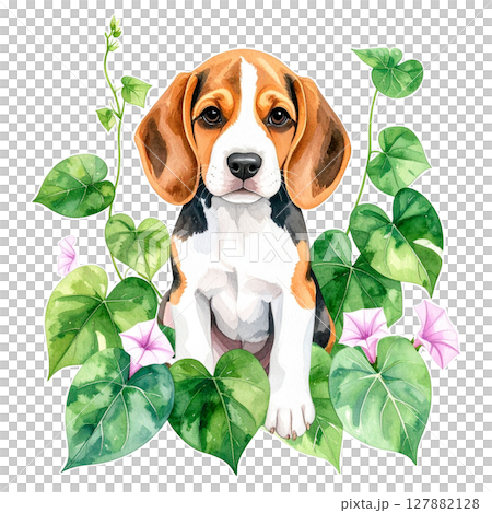 牽牛花和小獵犬的水彩插圖3/傳單和海報材料 127882128