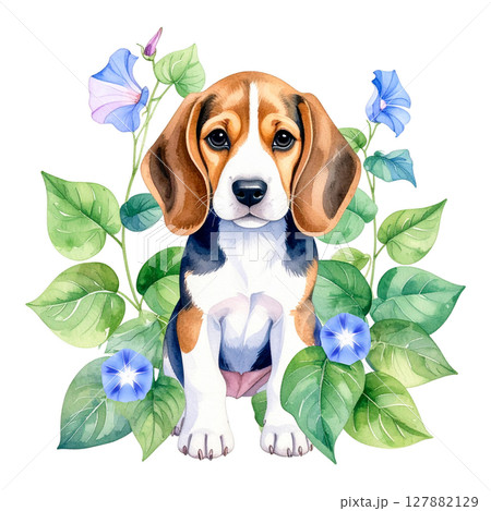 朝顔の花とビーグルの水彩画イラスト4／チラシやポスター用素材 127882129