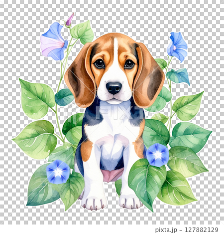 牽牛花和小獵犬的水彩插圖 4 / 傳單和海報材料 127882129