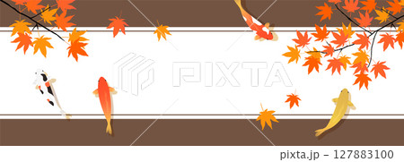 もみじと鯉のバナー背景_帯_茶色 127883100