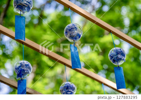 紫陽花の風鈴が揺れる初夏の日本の風景 紫陽花の風鈴が揺れる初夏の日本の風景 127883295